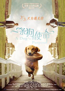 伊人伊人av电影