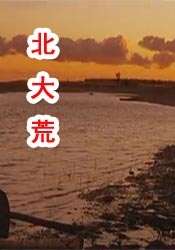 国产精品区免费视频