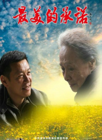 成年人在线观看网站