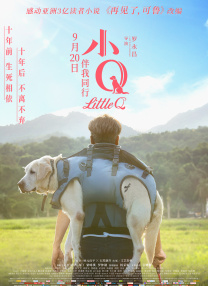 成人18视频在线观看