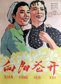 成年午夜视频