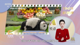 成人午夜视频免费观看